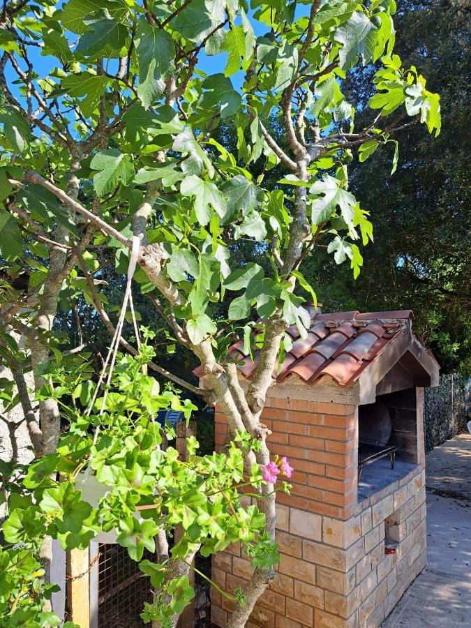 Apartman Melita Galižana Exterior foto